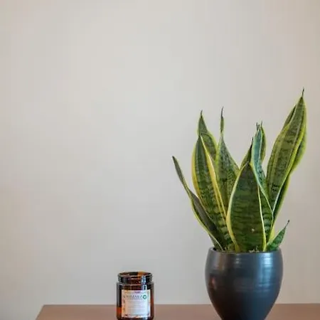 Twin Heights: A Retro For 3 Apartment